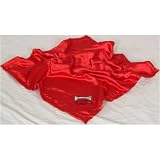 Arkansas Razorbacks NCAA Baby Blanket