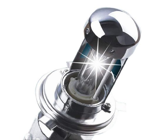 Recon 264H1DW Headlight Bulbs