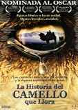 LA HISTORIA DEL CAMELLO QUE LLORA : PELICULA