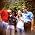 Thumbnail image of The Vaccines