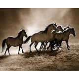 Lisa Dearing Wild Horses Art Print Poster - 8x10 Art Poster Print by Lisa Dearing, 10x8