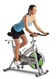 LifeSpan S1 Indoor Cycle Trainer