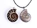 35-40mm Natural Single Ammonite Fossil Stone Gemstone Charms Pendant Necklaces Vintage Style