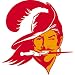 NFL Football Team Logo Transfers Rub-On Stickers/Tattoos - Tampa Bay Buccaneers (3 Pack)
