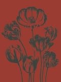 Tulip 9 Botanical Series Art Print Poster - 30x40
