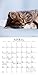 Cat Naps 2017 Mini Calendar