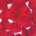 Red Rose Petals (200 pc)