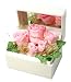 ��å����������� (Preserved Rose) �������ۥ磻�ȥߥ顼�ܥå��� Large~����&��������~�ԥ� ��Thank You�� 22263