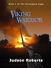 Viking Warrior