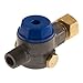 Annovi Reververi AR LINE Strainer North America AR3000-A2G Filter, Blue Cap Inline w/GH Fitting