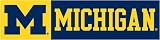 Michigan Wolverines M 8 Foot Applique and Embroidered Banner NCAA College Athletics Fan Shop Sports Team Merchandise