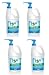 Hy5 Alcohol-Free Hand Sanitizer 1 Gallon 4-pack