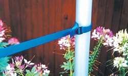 StretchCordz Adjustable Extension