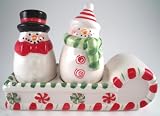 Winter Snowman Salt & Pepper Shaker Set S/P