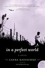 In a Perfect World: A Novel