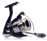 Pflueger Asaro Spinning Reel