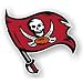 TAMPA BAY BUCCANEERS NFL 12 CAR MAGNET