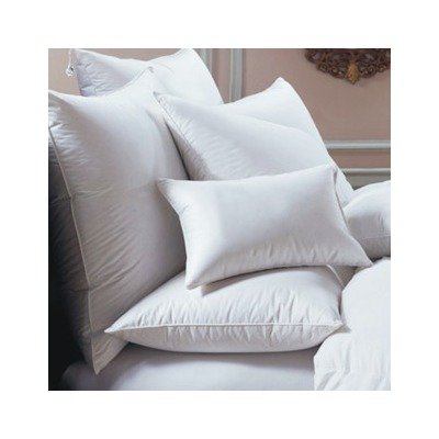 Bernina Euro 650 White Goose Down Pillow Size: Standard