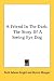 A Friend In The Dark: The Story Of A Seeing Eye Dog