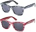 1980's Wayfarer Style Dollar Signs and Bills Fashion Sunglasses with Full Tinted Lens - New !