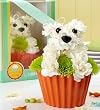 Flowers by 1800Flowers - Pup-cake in Bloom