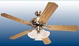 Westinghouse - Ventilateur de Plafond - Avec lumière - Ete ou hiver - Bouquet
