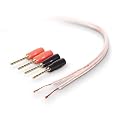 Belkin PureAV 16-Gauge Speaker Cable & Pins 15m