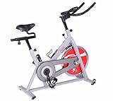 Sunny Health & Fitness SF-B1001S Indoor Cycling Bike, Silver