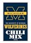 Hot Sauce Harrys 3210 MICHIGAN Wolverines Chili Mix - 2.75oz