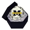 MICHIGAN WOLVERINES DIAMOND GLASS