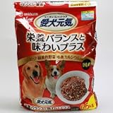 の画像