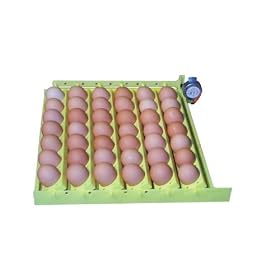 Incubator Turner for Chicken Eggs