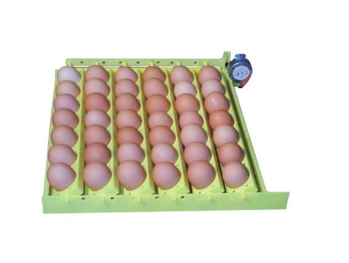 1611 chicken egg turner