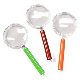 Plastic Magnifying Glasses (1 dz)