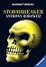 Alex Rider 01. Stormbreaker: Alex Riders erster Fall