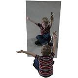 Acrylic Wall Mirror Size: 24 x 48