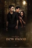 1art1 48041 Twilight - 2, Biss zur Mittagsstunde, Hauptplakat Poster (91 x 61 cm)