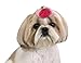 Aria Polyester Spring Fling Dog Barrettes Canisters, 2-Inch, 28-Pack, Raspberry Sorbet and Ultraviolet