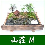 �y�������z�~�́E�~�i �R���iM�j