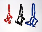 Tough-1 Miniature Nylon Halter