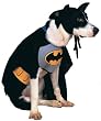 Batman Dog Costume