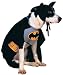 Batman Dog Costume