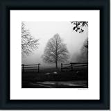 Morning Textures By Harold Silverman Art Print Poster Picture Framed Decor 18X18