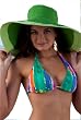 Beachcomber: Elongated Triangle Top (All styles sold as separates; Top Only)