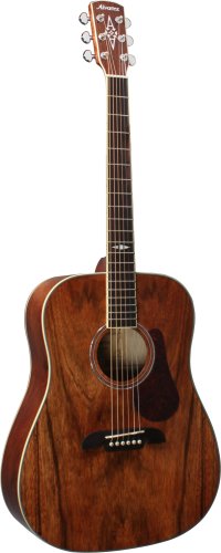 Alvarez AD222 Artist Series Acoustic Guitar