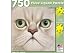   - Persian White 750 piece Puzzle