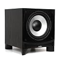 10" Subwoofer