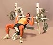 Maxicam Olympic Incline Press with Pro Tabs and Plate Storage Weight Bench