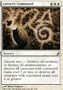 Austere Command RARE #003 - Magic the Gathering Lorwyn