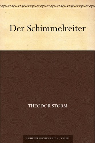 Buch - Cover Der Schimmelreiter - Theodor Storm - 